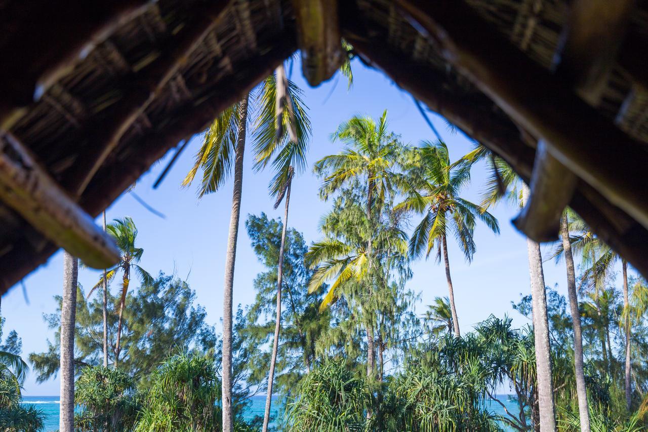Lazy Beach House Kiwengwa  Ngoại thất bức ảnh